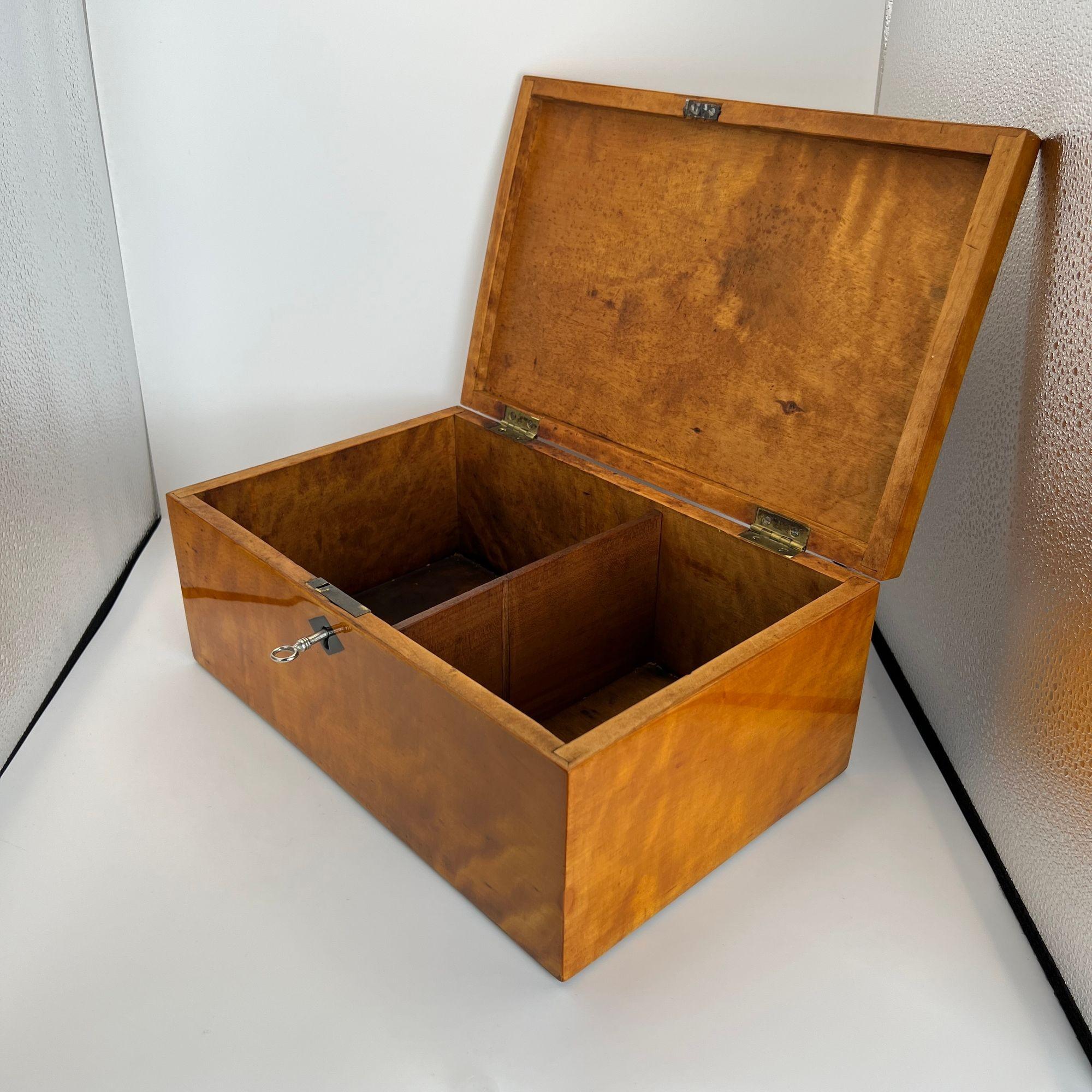 Ebonized Late Biedermeier Box, Birch Solid Wood, Northern Germany, circa 1840 For Sale