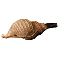 Late Edo Period Horagai Conch Shell Trumpet