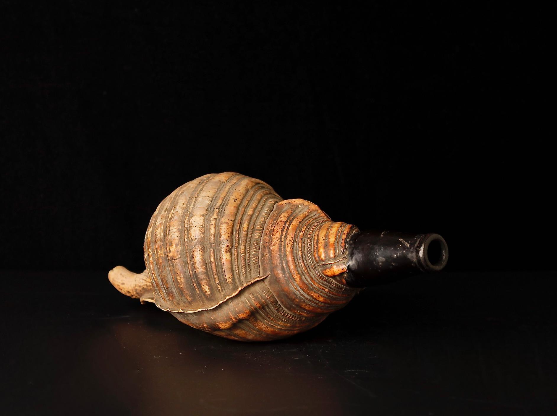 Japanese Late Edo Period Horagai Conch Shell Trumpet For Sale