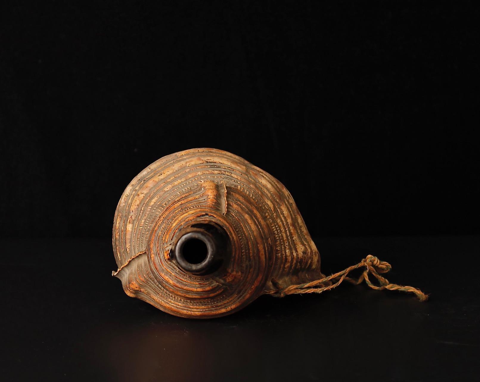 Late Edo Period Horagai Conch Shell Trumpet In Good Condition For Sale In Fukuoka, JP
