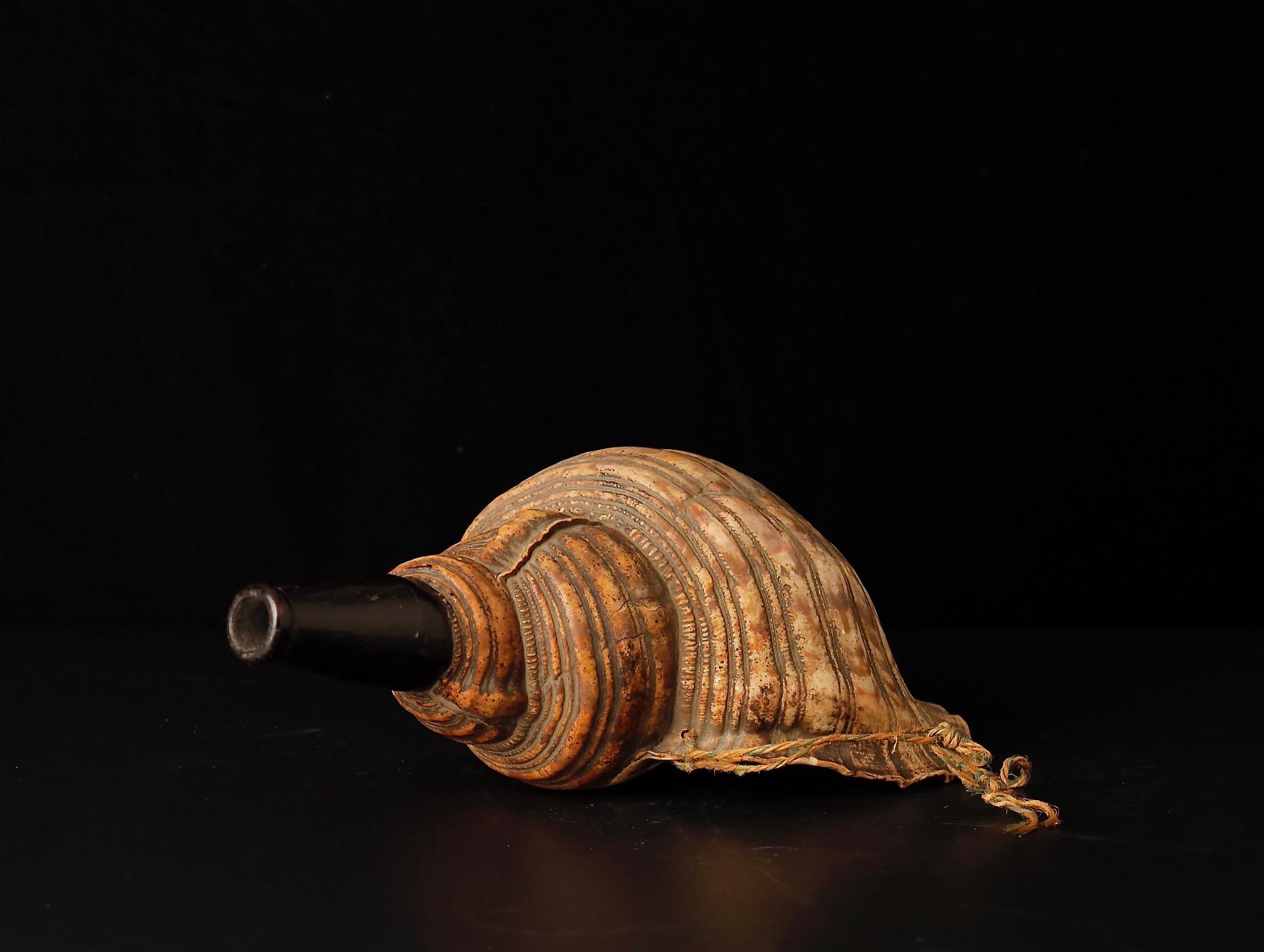 19th Century Late Edo Period Horagai Conch Shell Trumpet For Sale
