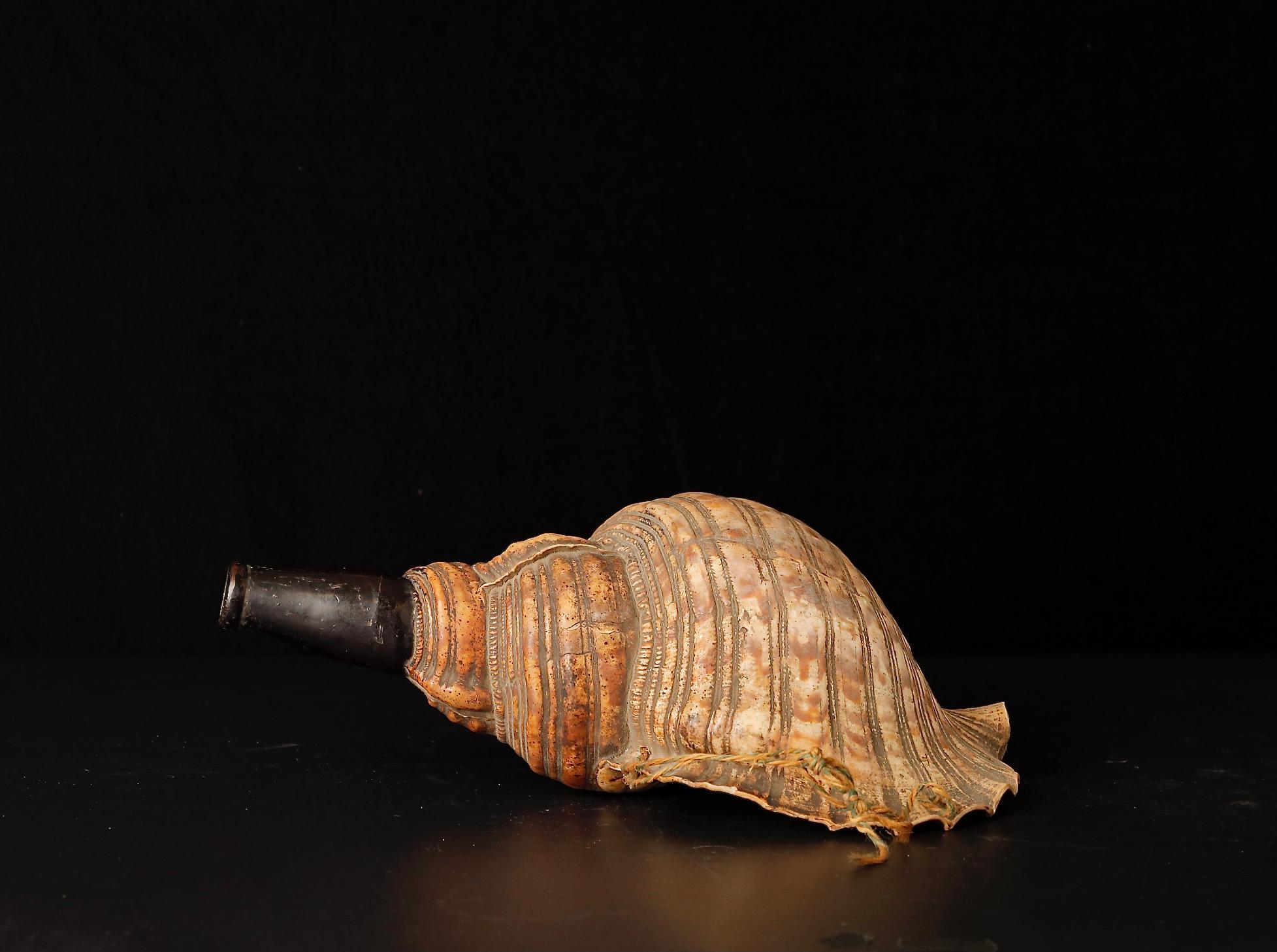 Late Edo Period Horagai Conch Shell Trumpet For Sale 2