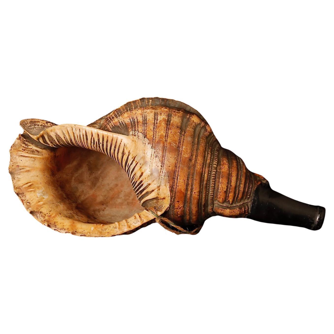 Late Edo Period Horagai Conch Shell Trumpet For Sale