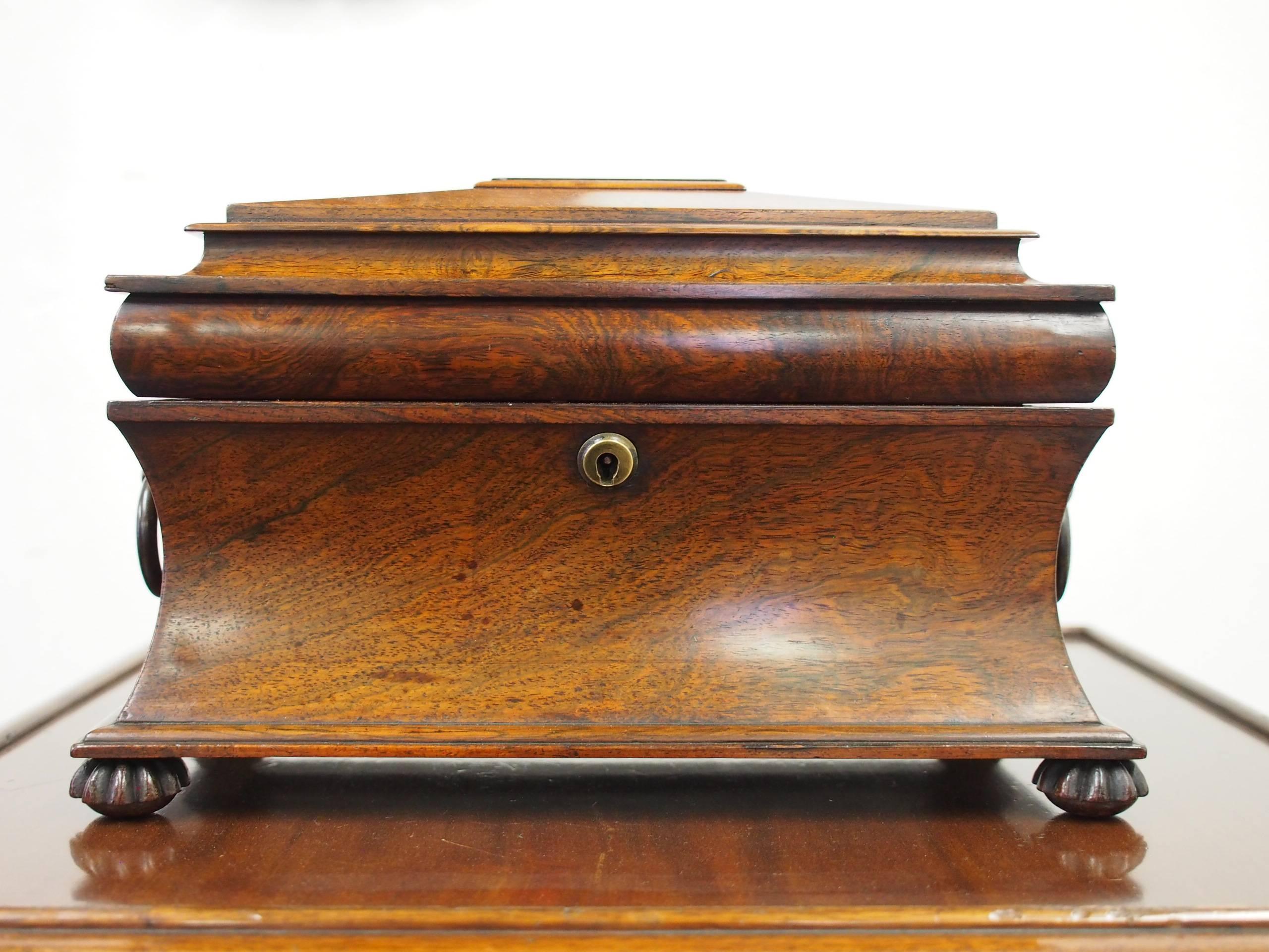 Late George IV Rosewood Sarcophagus Tea Caddy For Sale 2