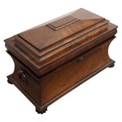 Late George IV Rosewood Sarcophagus Tea Caddy