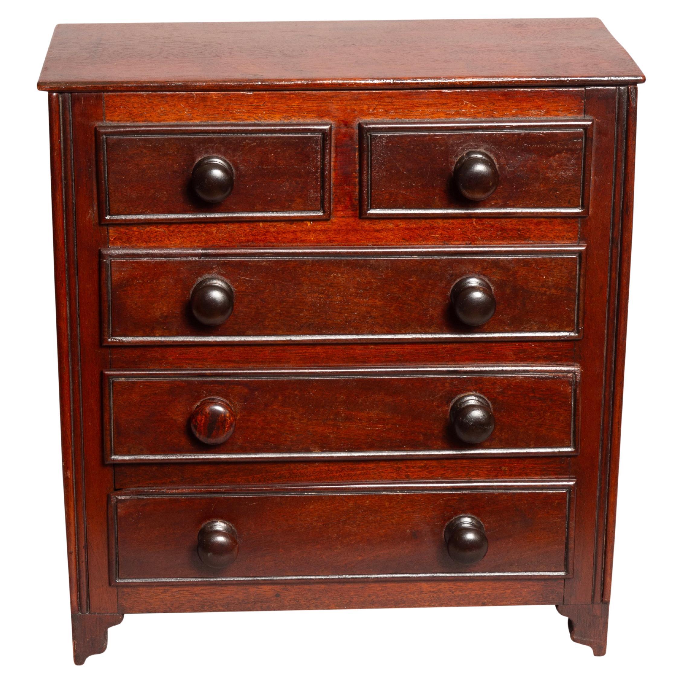 Late Georgian Mahogany Box In The Form Of A Chest For Sale
