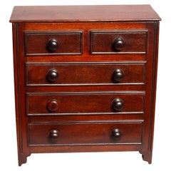 Antique Late Georgian Mahogany Box In The Form Of A Chest