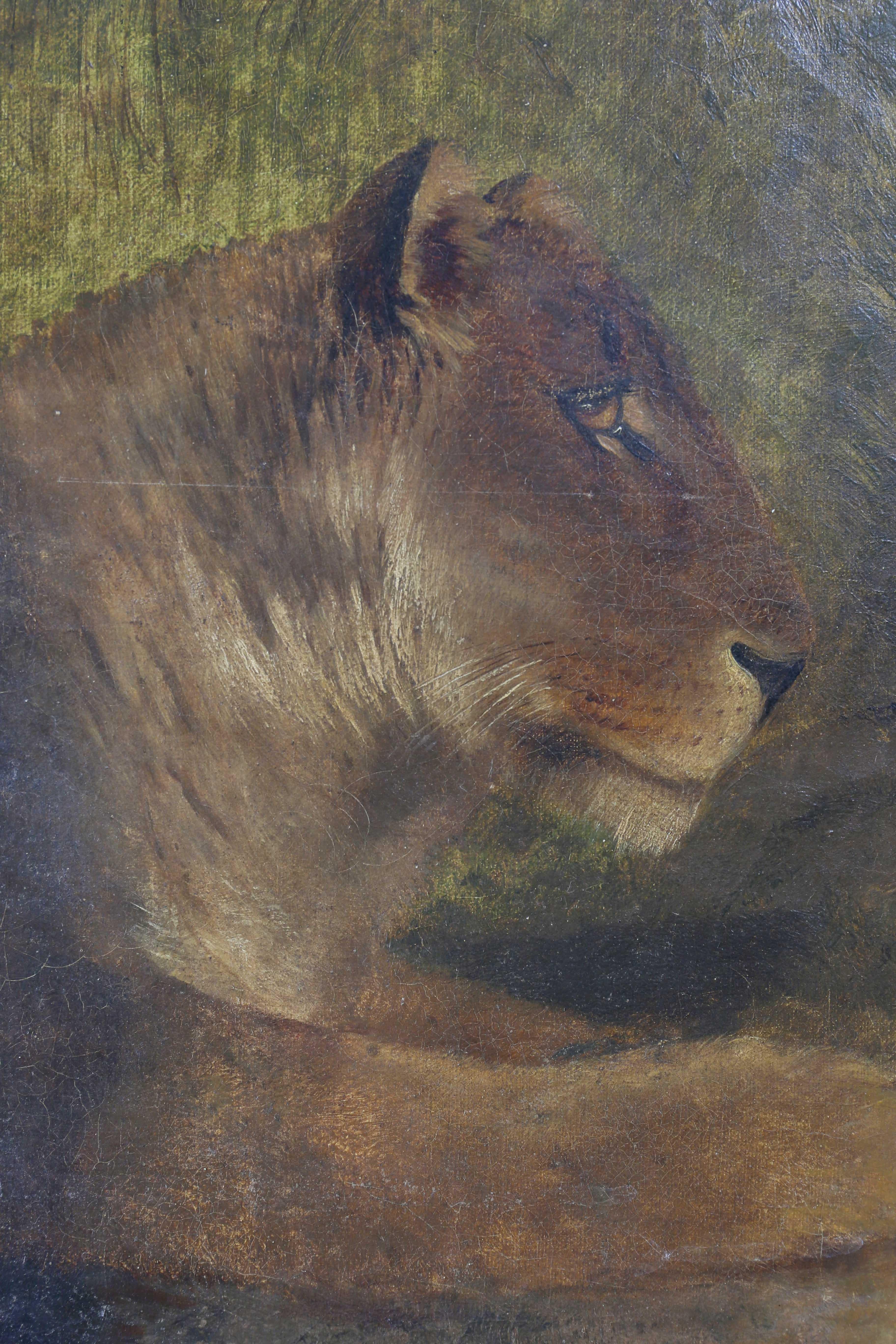English Late Georgian Painting of Two Lions