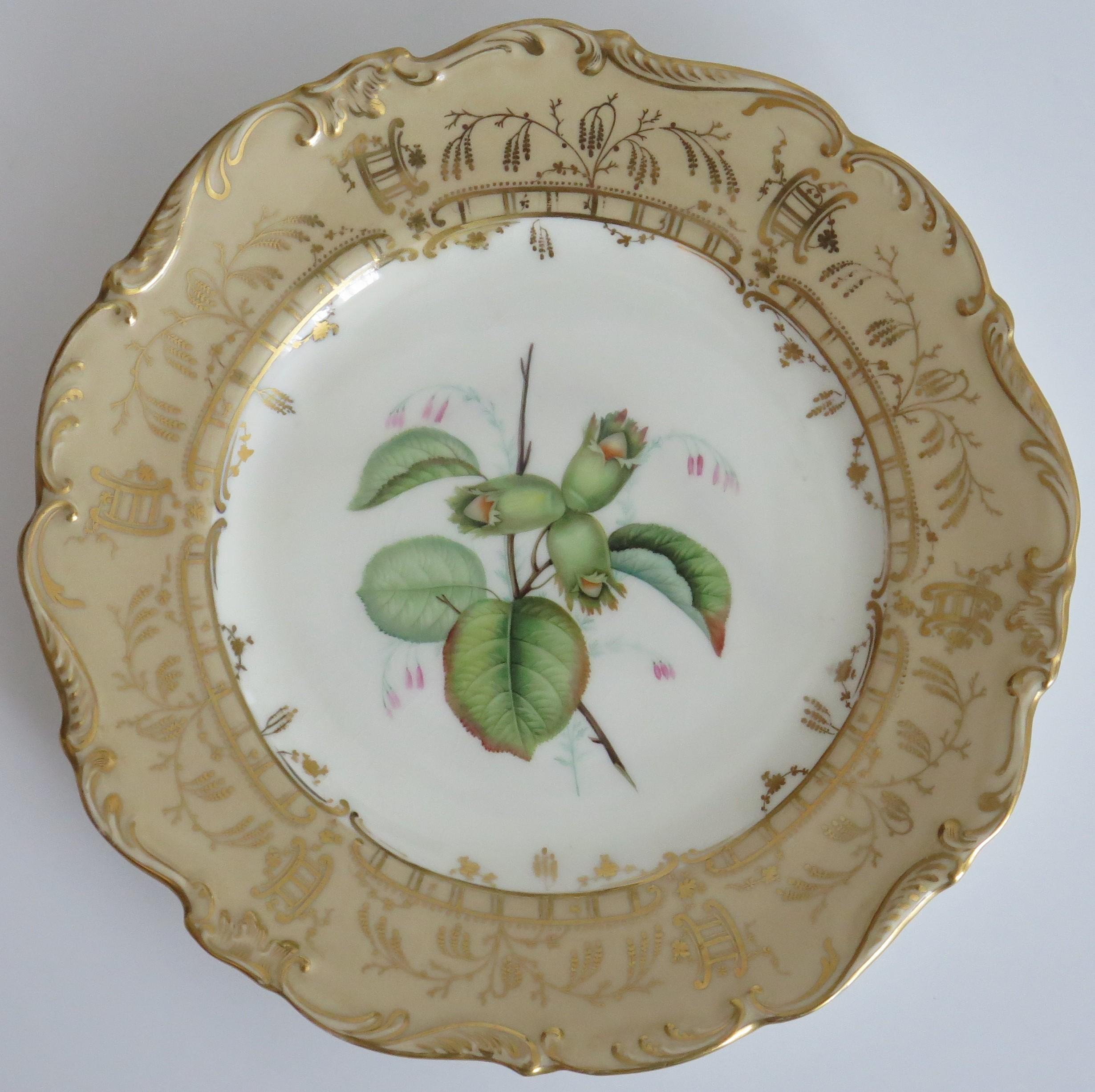 This is a very high quality, finely hand painted botanical plate, that we attribute to H & R Daniel or Samuel Alcock, Staffordshire Potteries, England and dating to the early 19th century late Georgian period, circa 1830.

This plate is well