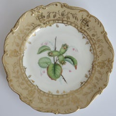 Late Georgian Porcelain Botanical Plate by H & R Daniel or S Alcock, circa 1830