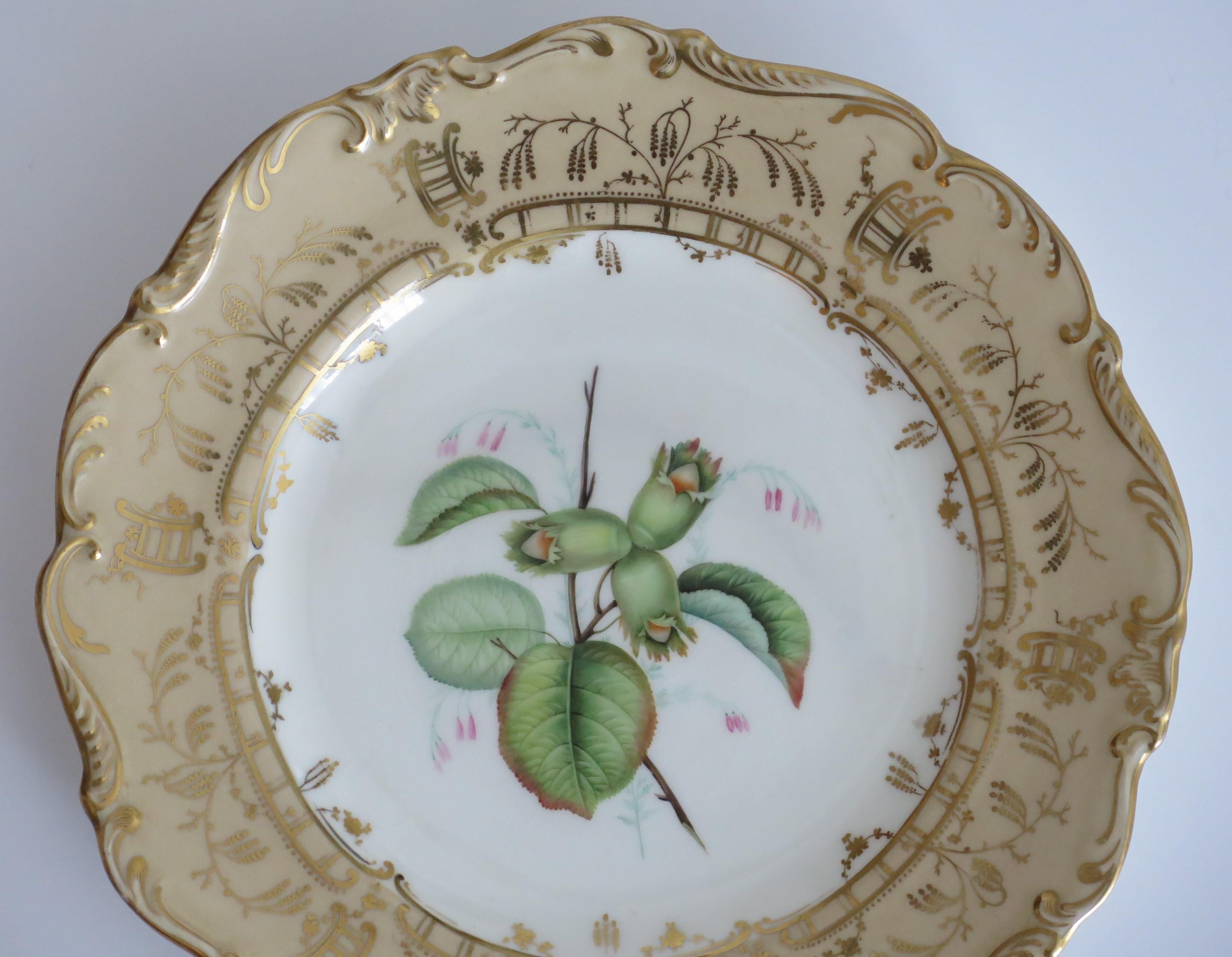 English Late Georgian Porcelain Botanical Plate by H & R Daniel or S Alcock, circa 1830 For Sale