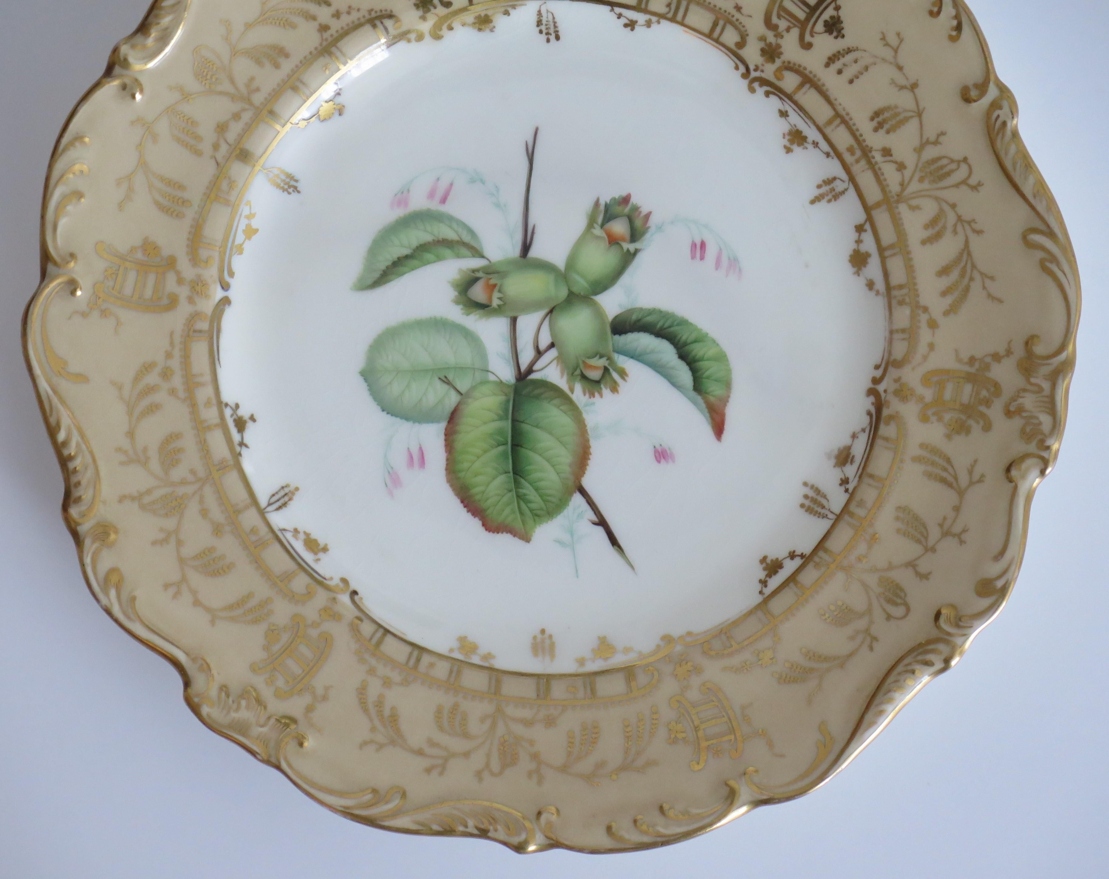 Hand-Painted Late Georgian Porcelain Botanical Plate by H & R Daniel or S Alcock, circa 1830 For Sale