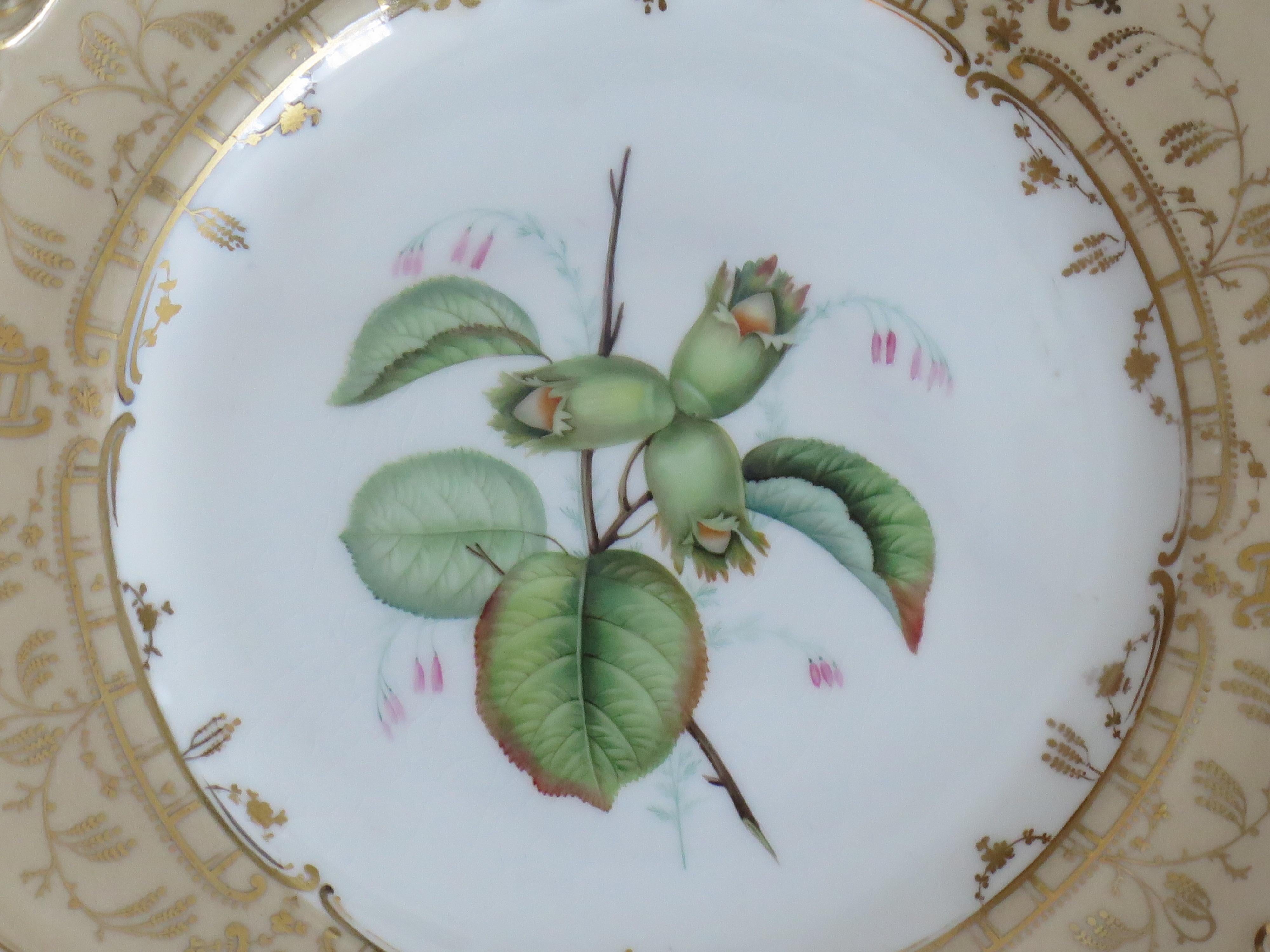 Anglais Assiette botanique en porcelaine de la fin de l'époque géorgienne par H & R Daniel ou S Alcock, vers 1830 en vente