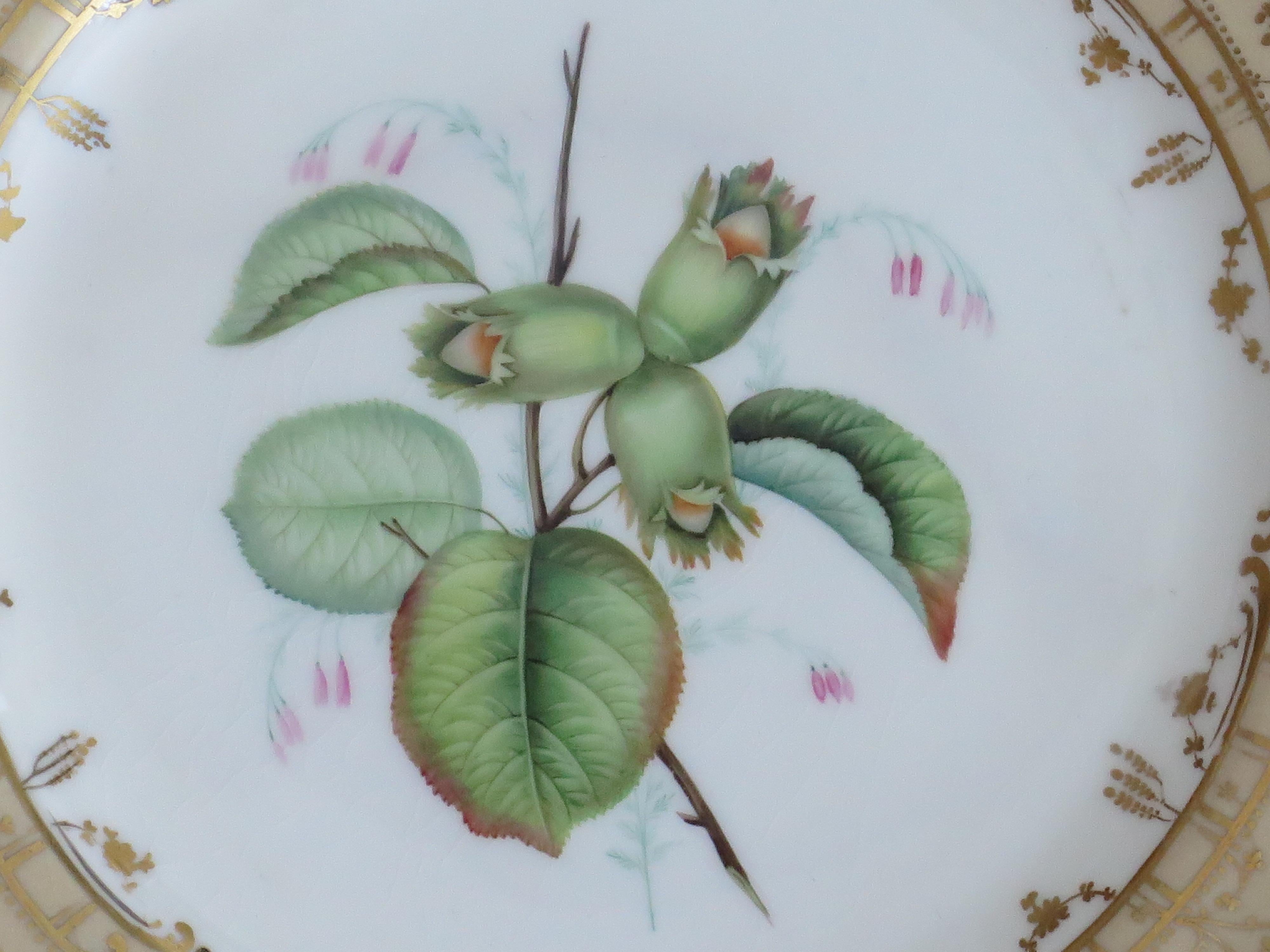 19th Century Late Georgian Porcelain Botanical Plate by H & R Daniel or S Alcock, circa 1830 For Sale