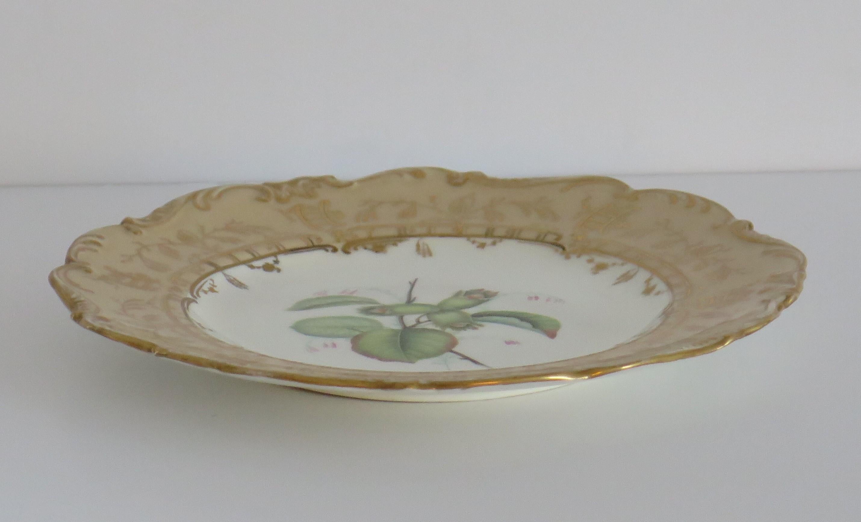 Late Georgian Porcelain Botanical Plate by H & R Daniel or S Alcock, circa 1830 For Sale 2