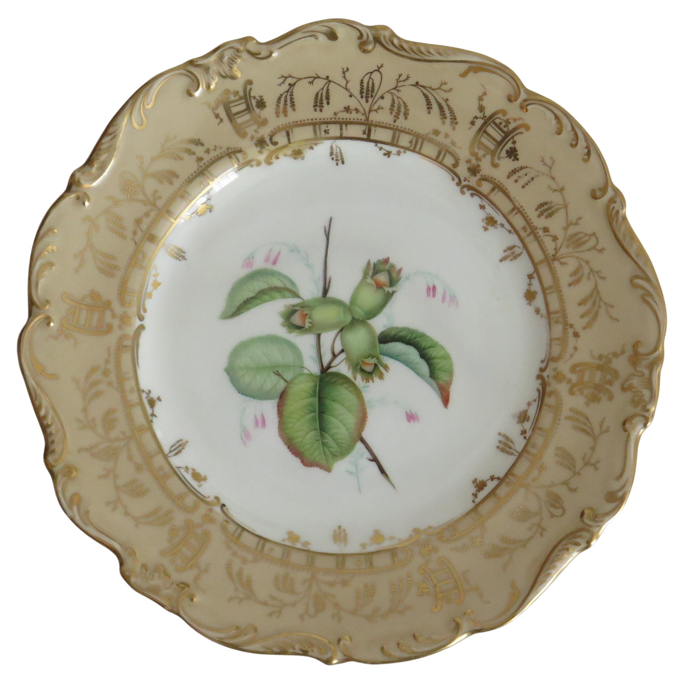 Late Georgian Porcelain Botanical Plate by H & R Daniel or S Alcock, circa 1830 For Sale