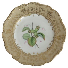 Antique Late Georgian Porcelain Botanical Plate by H & R Daniel or S Alcock, circa 1830