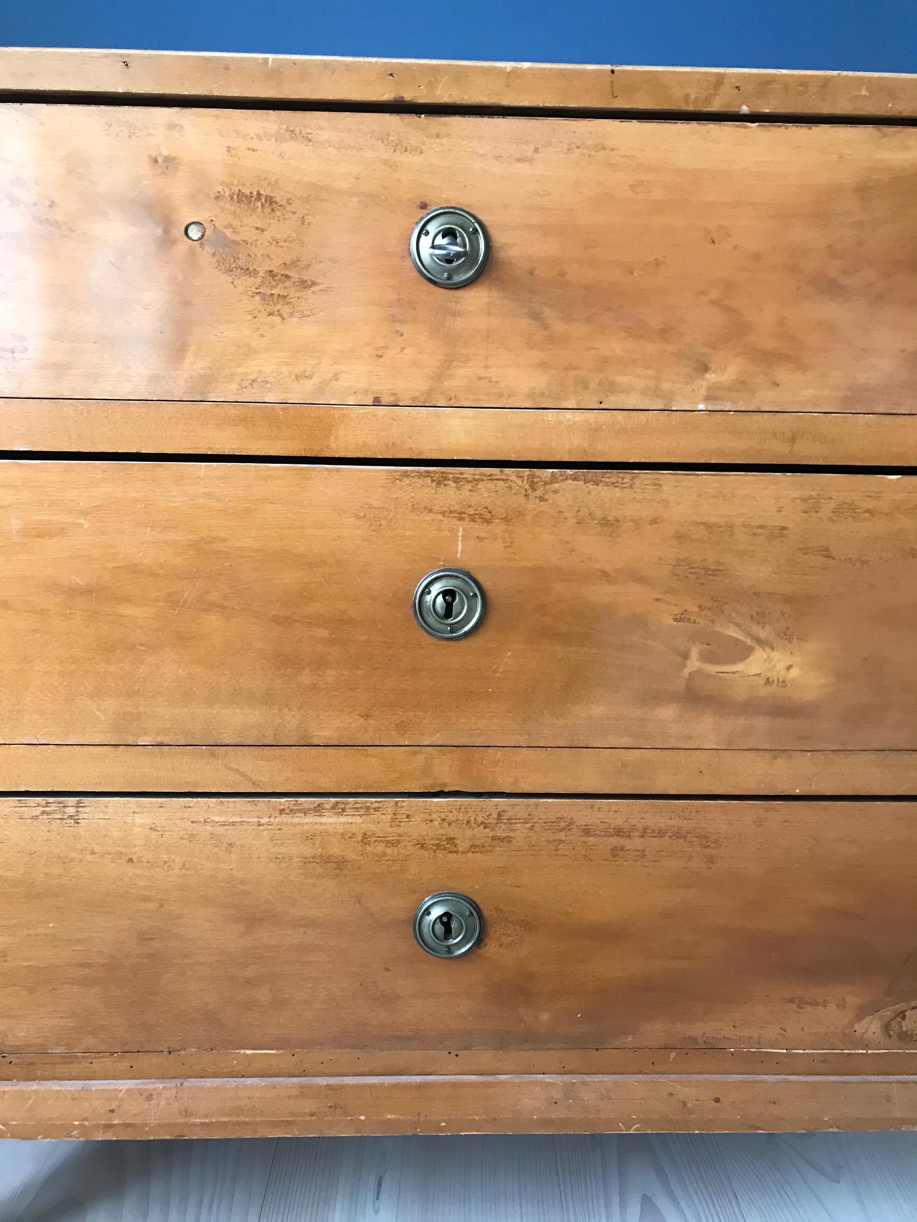 Veneer Late Gustavian 19th Century Swedish Chest in Birch with Drawers For Sale