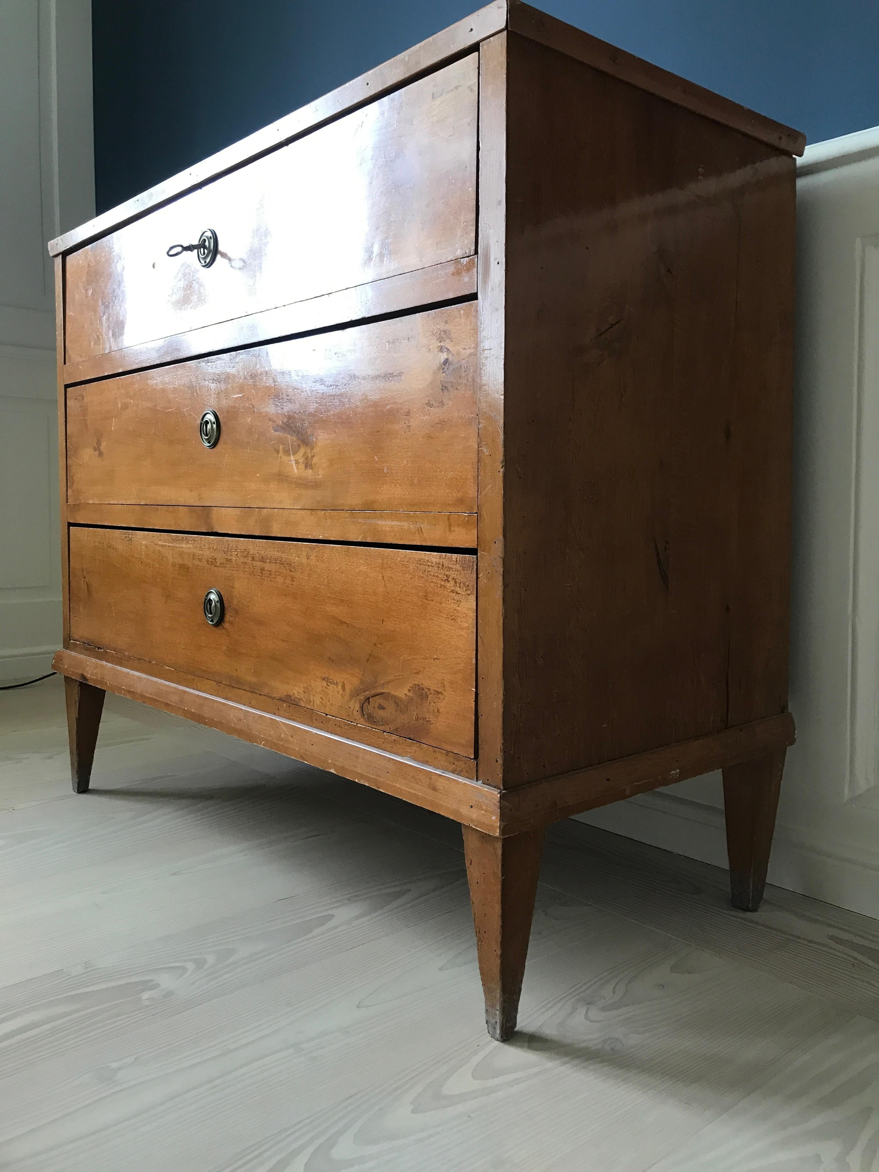 Late Gustavian 19th Century Swedish Chest in Birch with Drawers For Sale 4