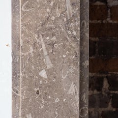 Late 19th Century Derbyshire Fossil Limestone Fireplace