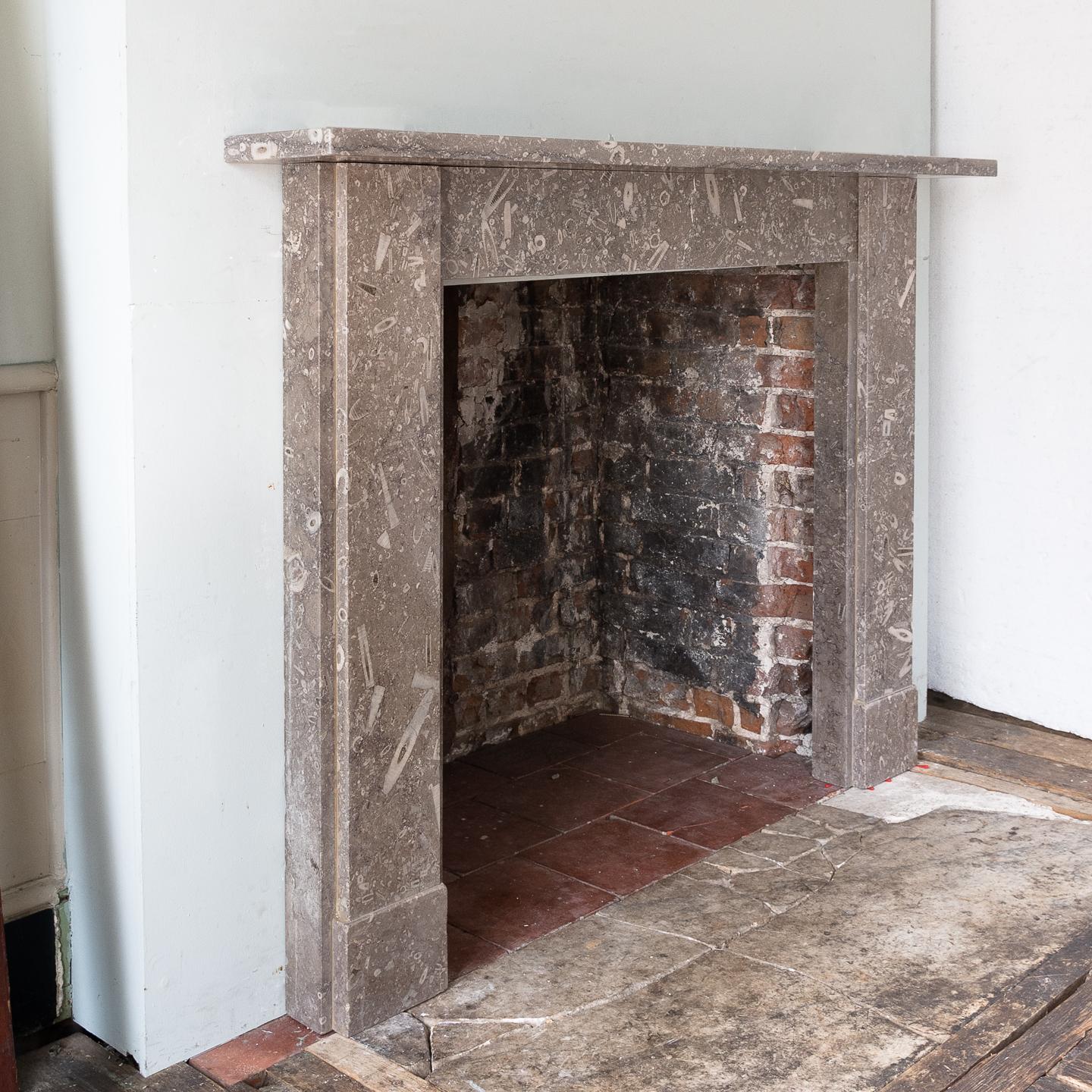 Late 19th Century Derbyshire Fossil Limestone Fireplace In Good Condition In London, GB