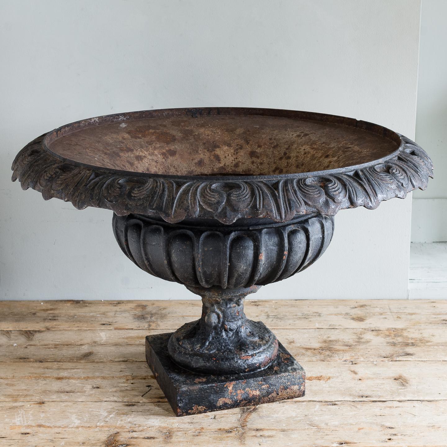 Late 19th Century French Cast Iron Tazza Urn 3