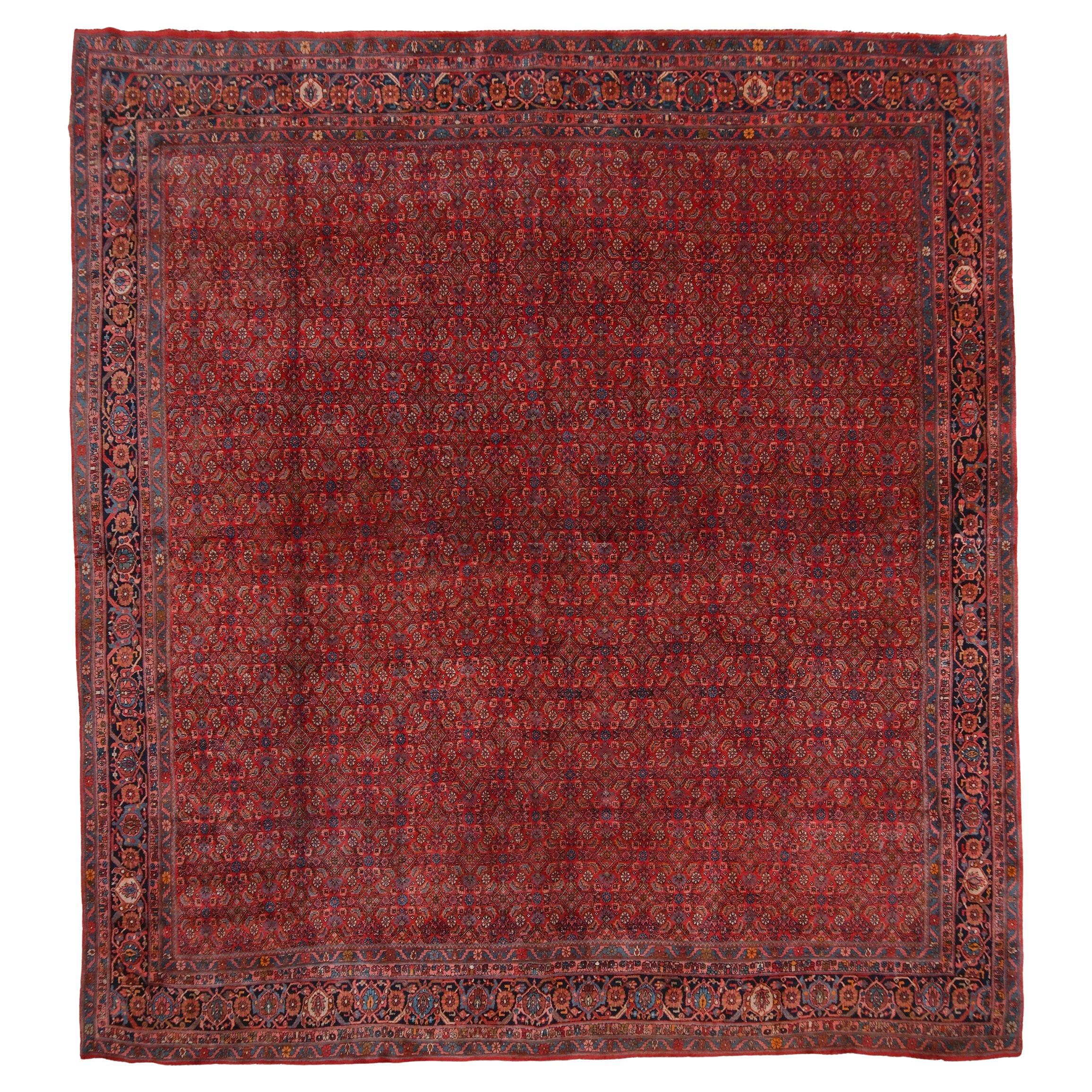 Tapis Bidjar de la fin du 19e siècle