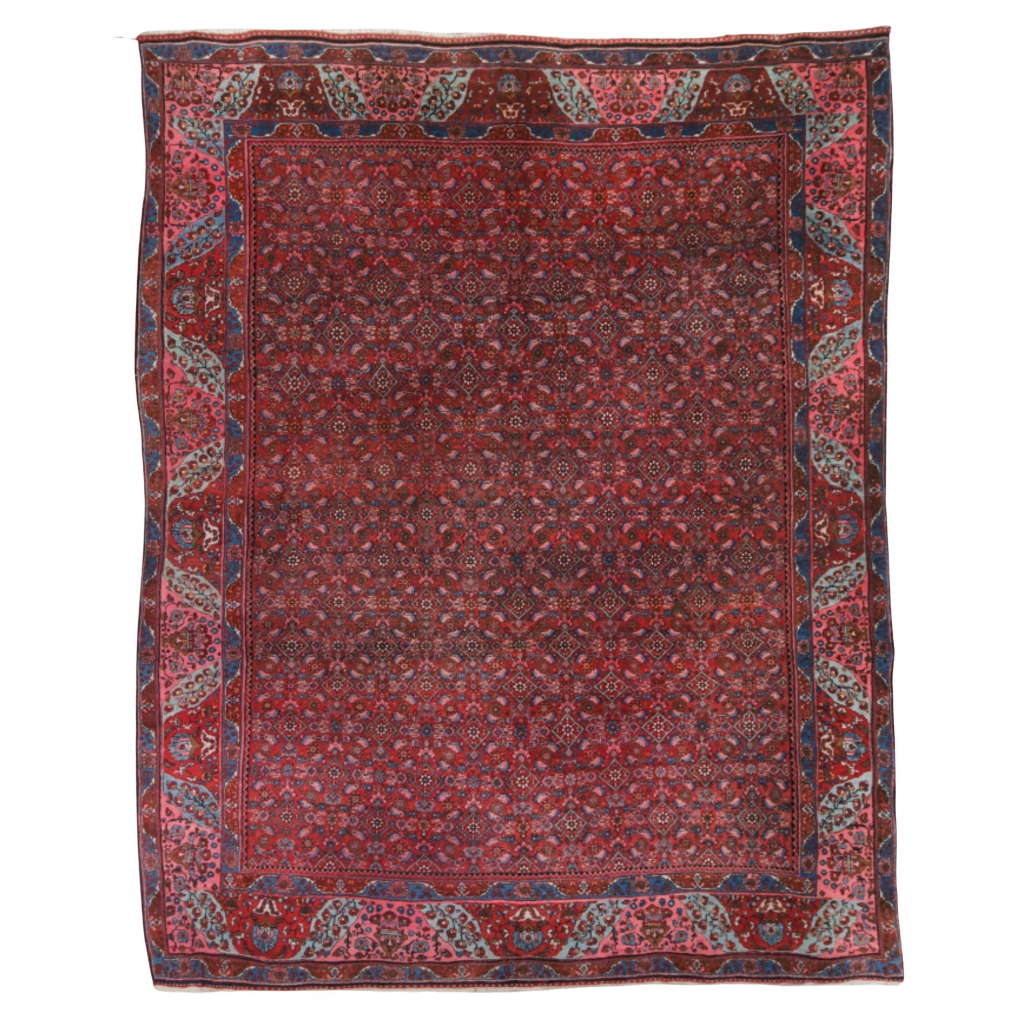 Fin du 19e siècle Tapis Bidjar Gerrus Design/One