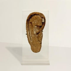 Late-Period to Ptolemaic Period Egyptian Wooden Mummy Mask Ear on Custom Mount