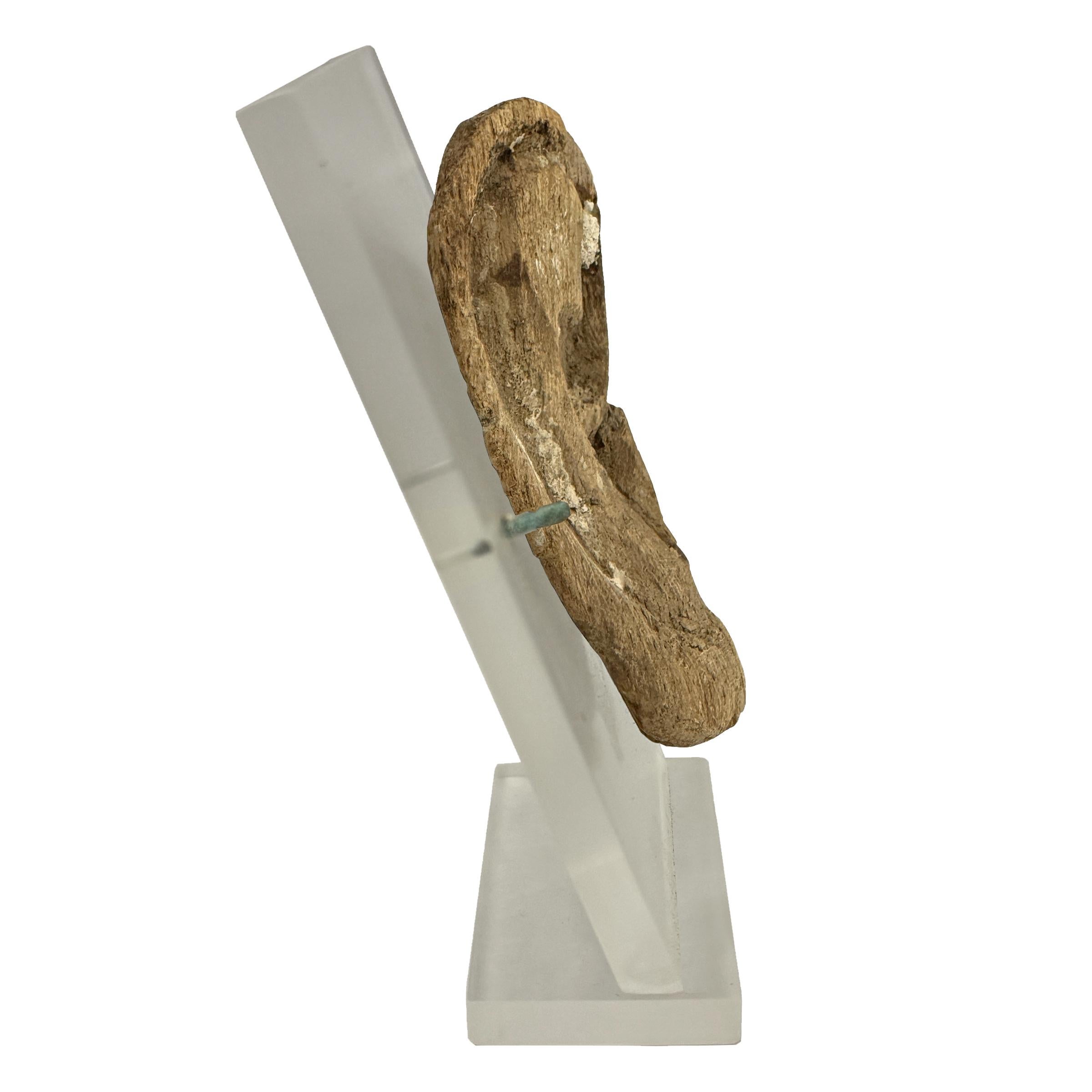 Ägyptische hölzerne Mumienmaske aus der späten bis ptolemäischen Periode, Ohr auf speziellem Halter im Zustand „Gut“ im Angebot in Chicago, IL