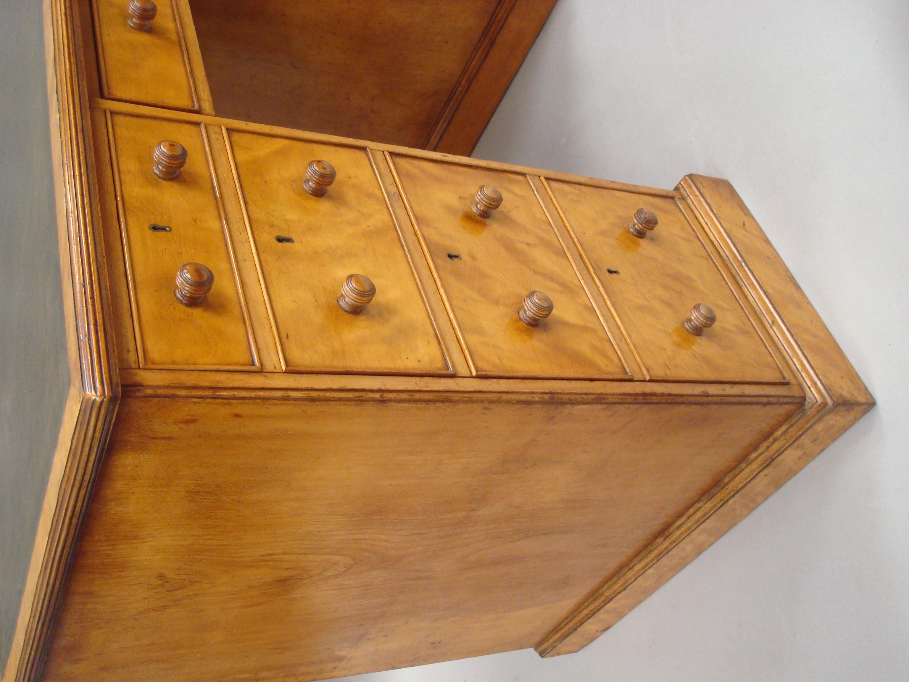 19th Century Late Regency Satin Birch Pedestal Desk