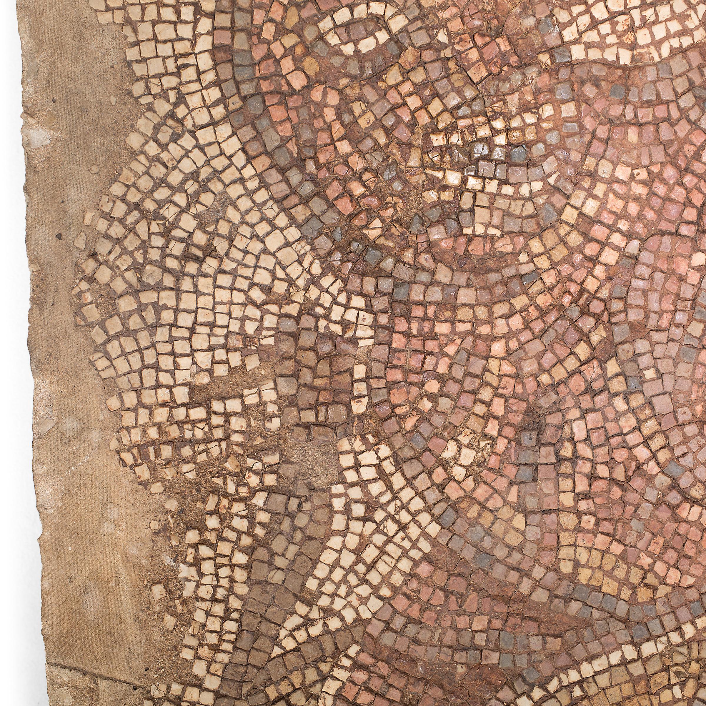 Late Roman Tiger Mosaic Table 1