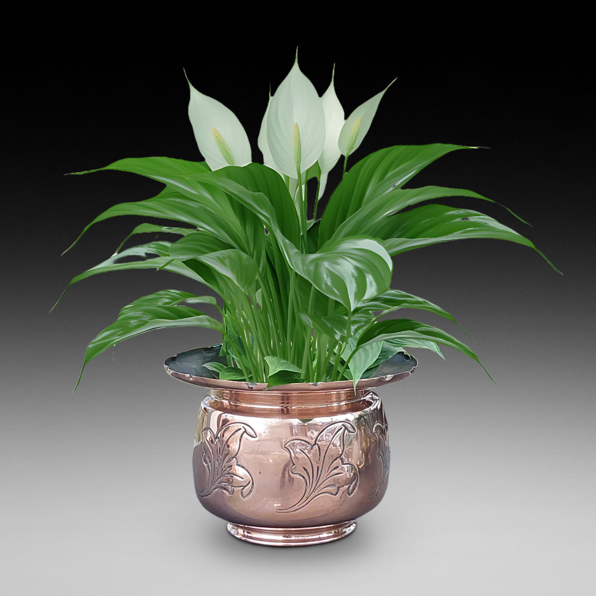 Vaso in rame tardo-vittoriano con decorazione a foglie incise - 9 