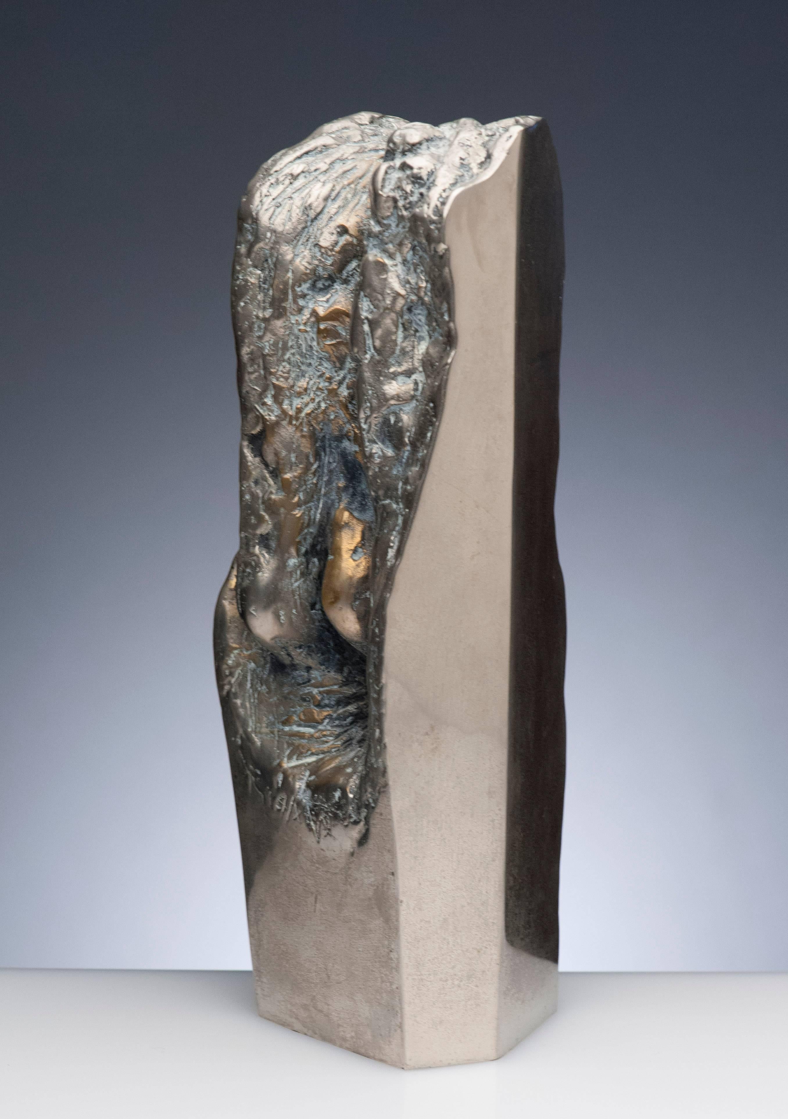 Latin American Raúl Valdivieso Organic Abstract Bronze Metal Sculpture In Excellent Condition In Washington, DC