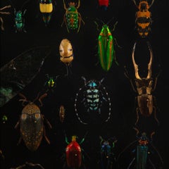 Latticework by Hasharat: A Global Mosaic of 84 Exotic Beetles