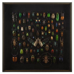 Altri mobili e oggetti da collezione