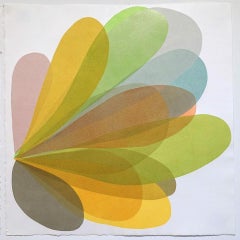 Terra delle Meraviglie 6