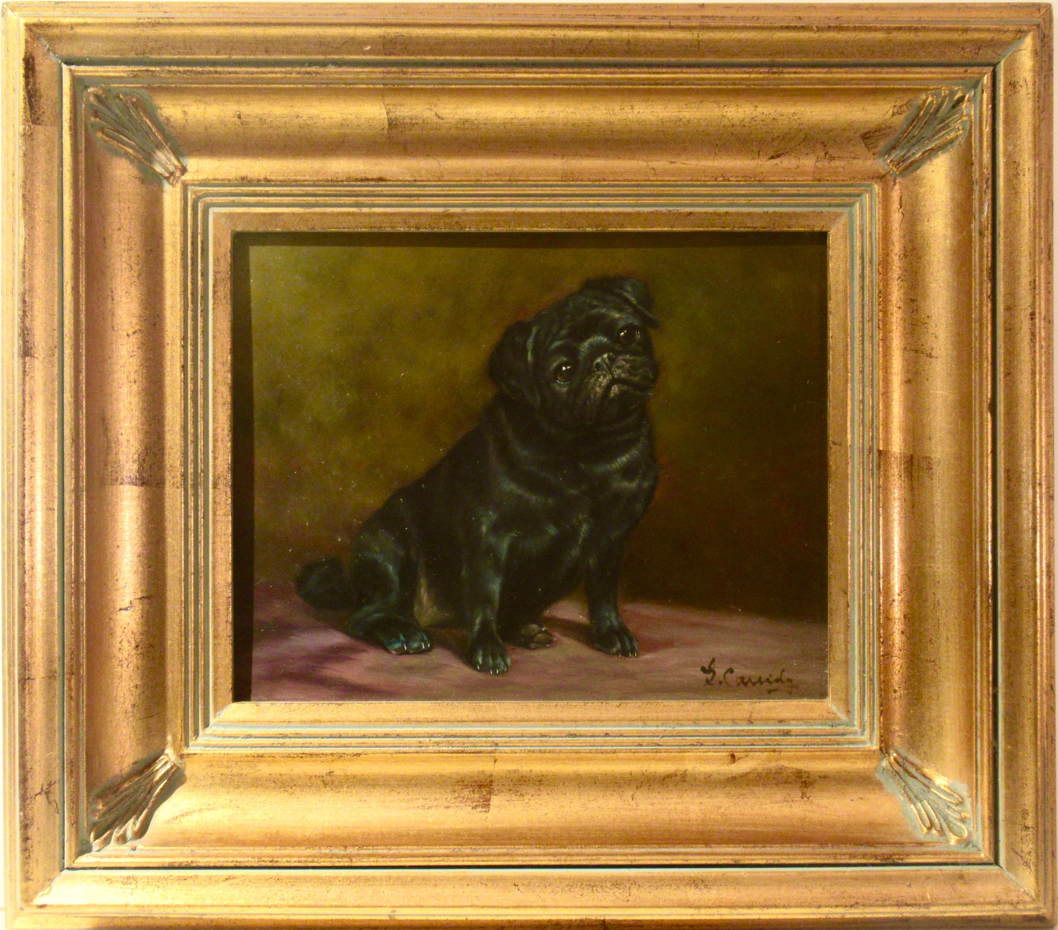 Black Pug Sitting