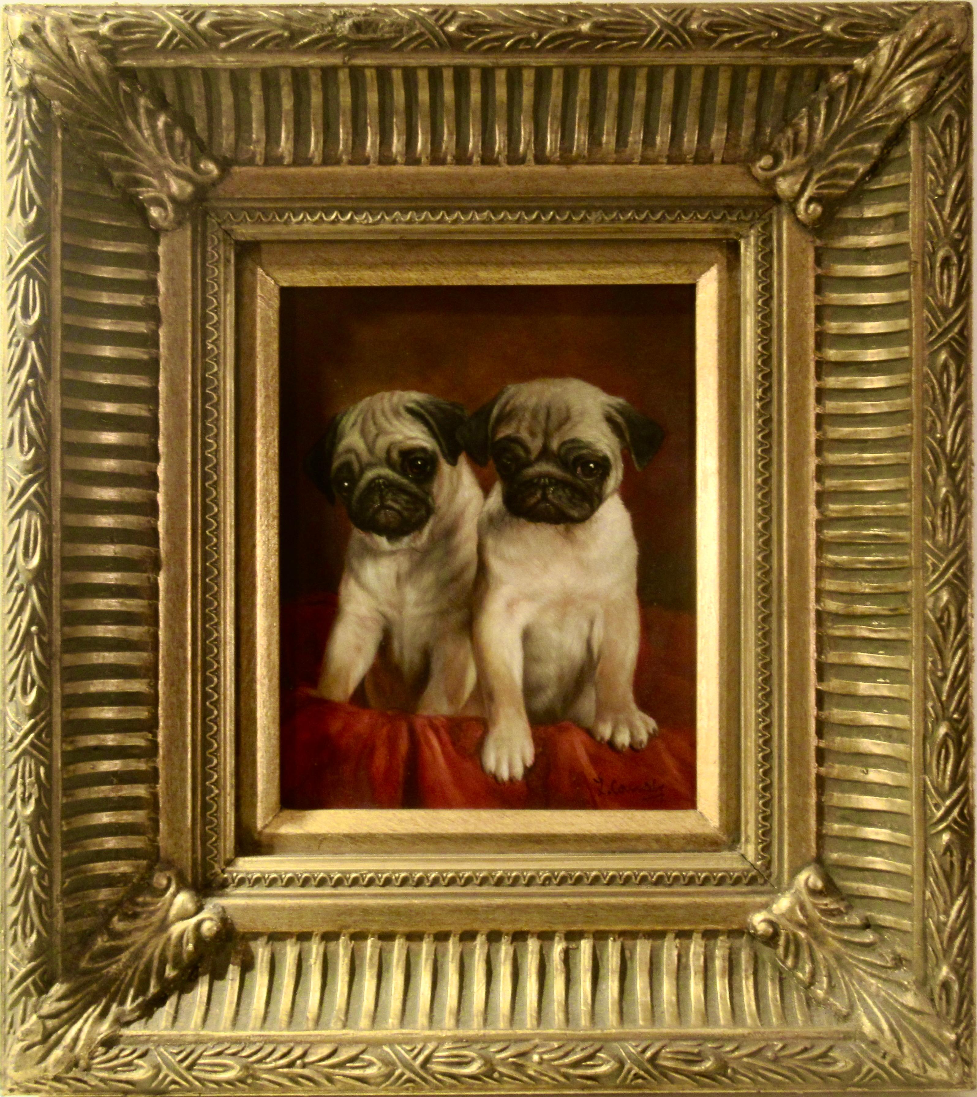 Two Young Pugs