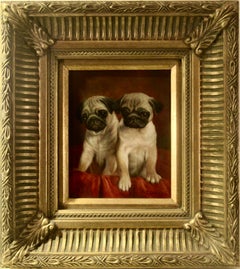 Two Young Pugs
