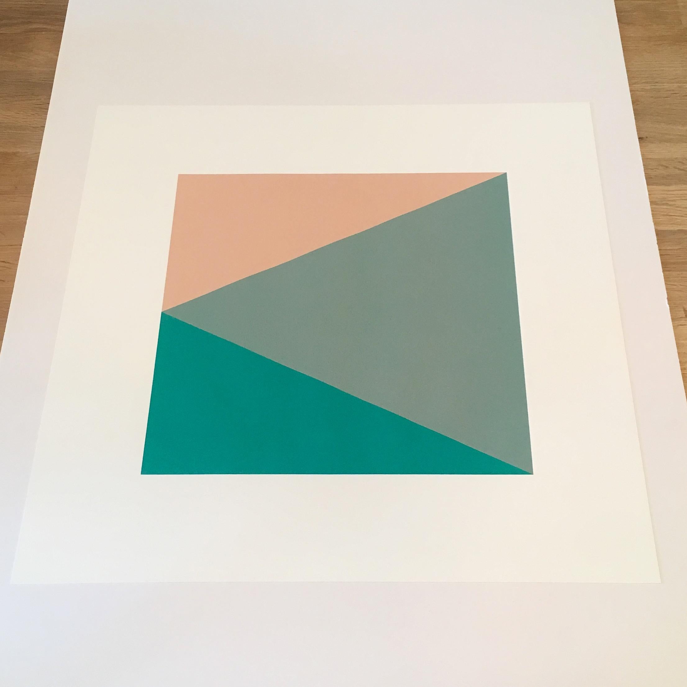 Colour Study 002: Limited Edition Screenprint by Laura Jane Scott For Sale 2