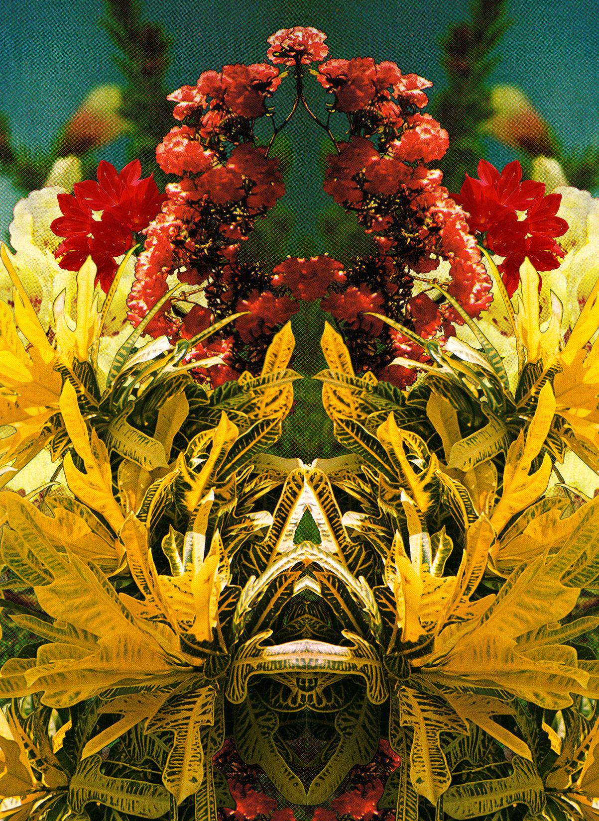 kaleidoscope botanicals