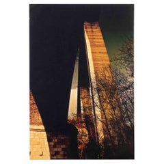 The Night - Vintage Offset Print after Laura Liverani - 1970