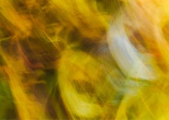 Gelb Abstrakt (Hell, Nature, Unscharf, Bewegung, ~30% OFF)