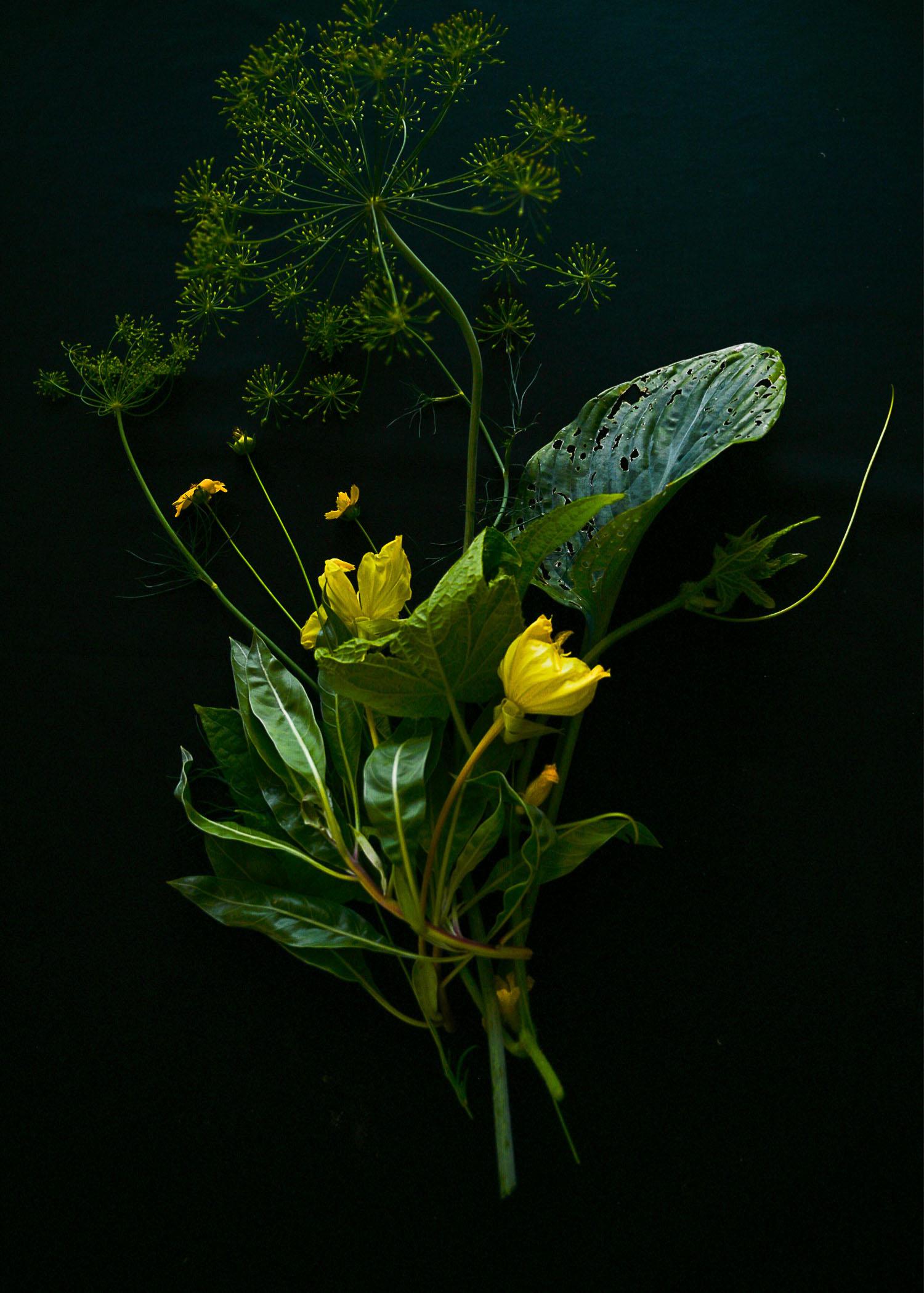 Laura Lloyd Figurative Photograph - Yellow Flowers (Gold, Saffron, Nature, Warm, Close-up, ~30% OFF)