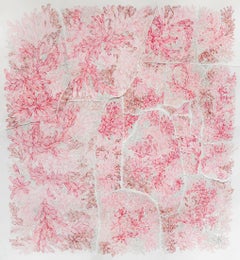 Hiper Organico 16