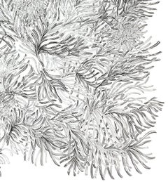Hiper Organico 26