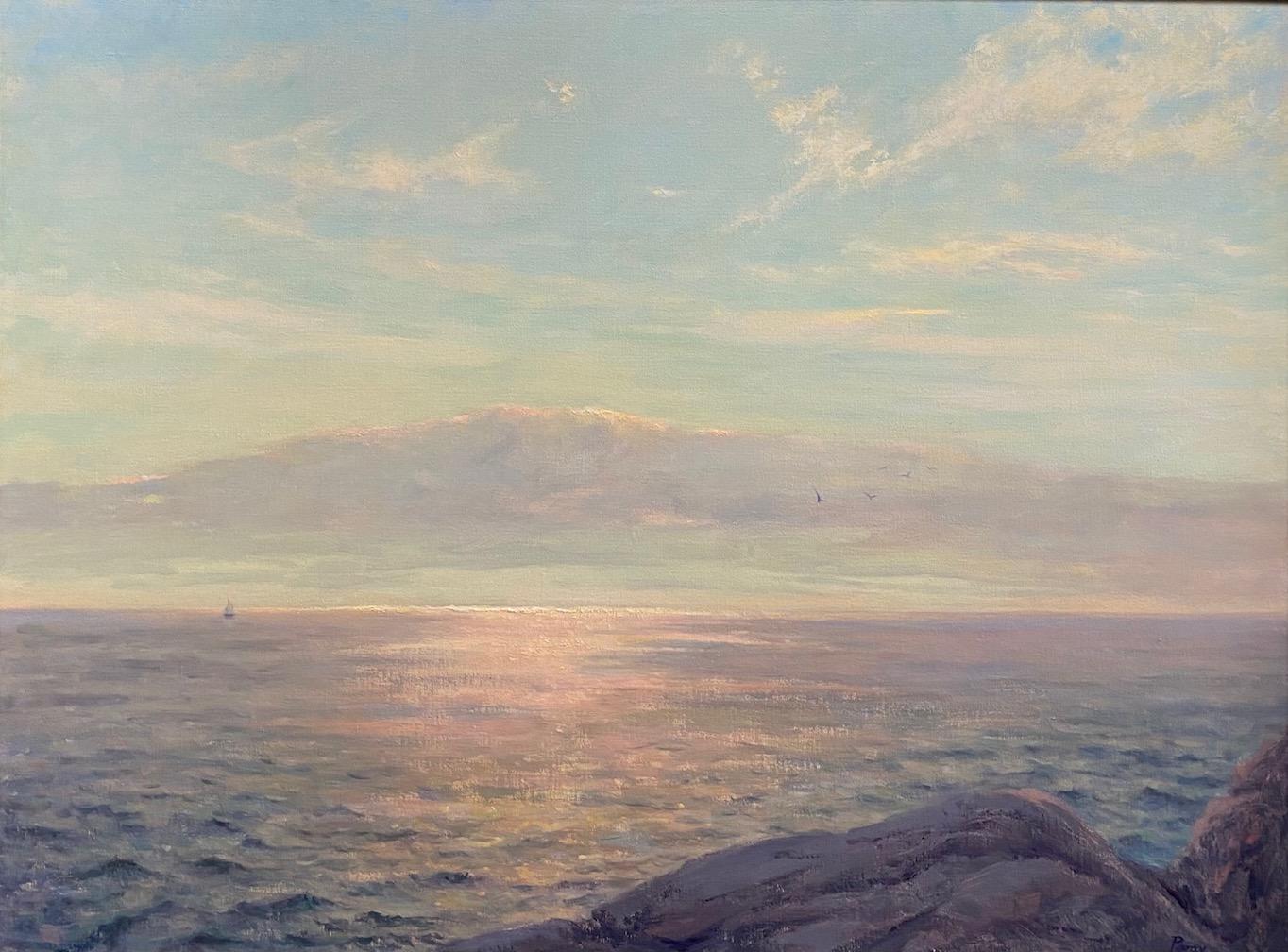 Sunset Glow, original 30x40 impressionist marine landscape - Painting by Laura Paray