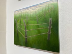 Wind Up, Surreal Landscape with Twisting Fence and Green Grassy Field