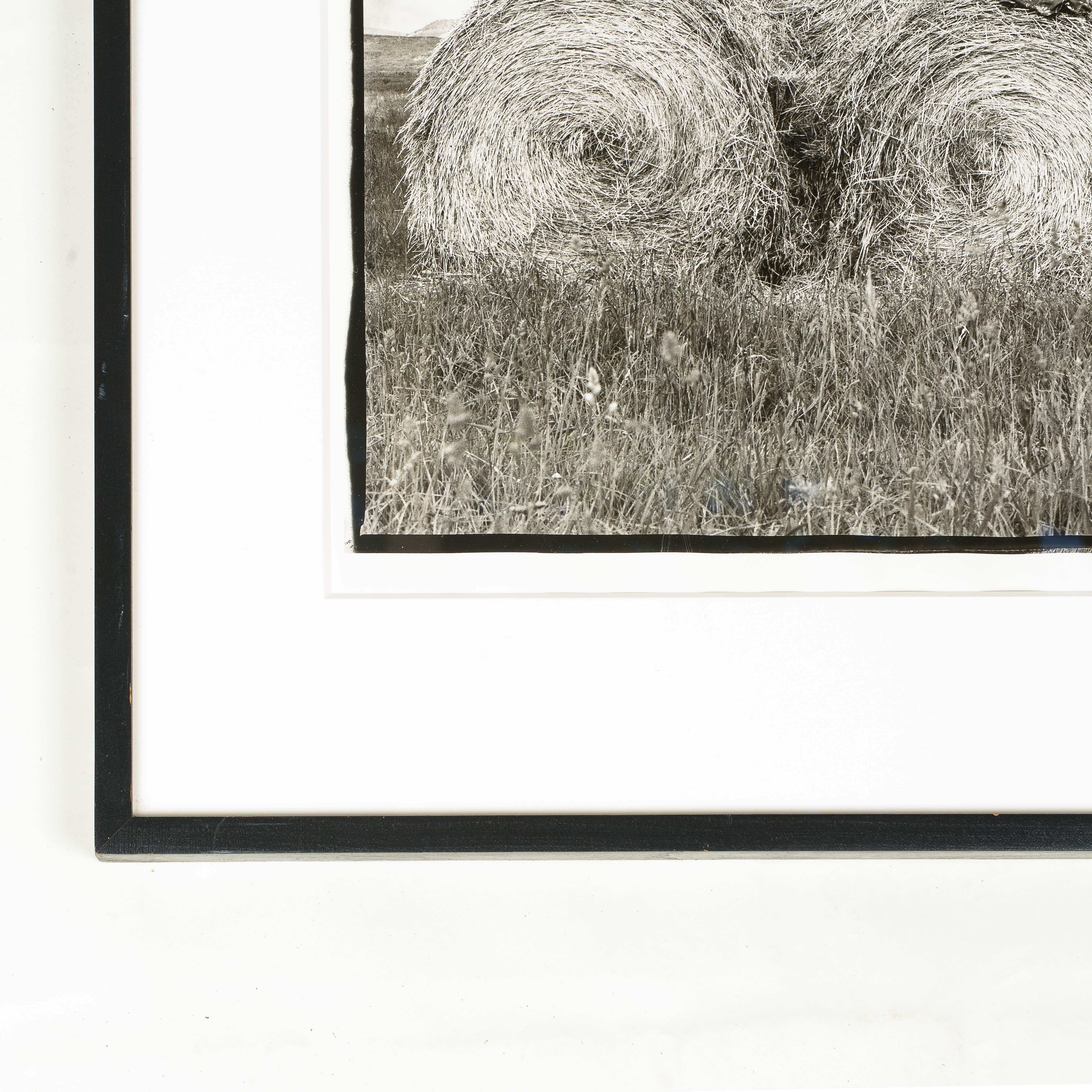 Silber-Gelatine-Druck
Rechts unten signiert; mit einfachem schwarzem Rahmen versehen.

Laura Wilson (geb. 1939) ist eine amerikanische Fotografin. Wilsons berufliche Karriere begann 1979, als Richard Avedon sie als Assistentin für seine Ausstellung